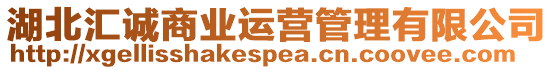 湖北匯誠商業(yè)運(yùn)營管理有限公司