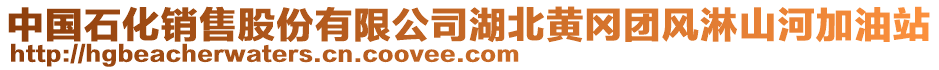 中國(guó)石化銷(xiāo)售股份有限公司湖北黃岡團(tuán)風(fēng)淋山河加油站