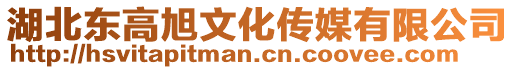 湖北東高旭文化傳媒有限公司