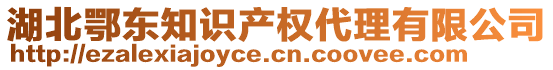 湖北鄂東知識產(chǎn)權代理有限公司