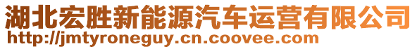 湖北宏勝新能源汽車運營有限公司