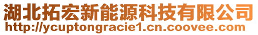 湖北拓宏新能源科技有限公司