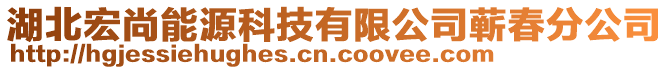 湖北宏尚能源科技有限公司蘄春分公司