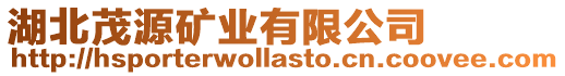 湖北茂源礦業(yè)有限公司