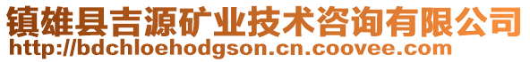 鎮雄縣吉源礦業技術咨詢有限公司