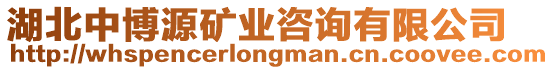 湖北中博源礦業(yè)咨詢有限公司