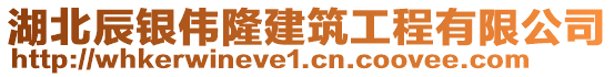 湖北辰銀偉隆建筑工程有限公司