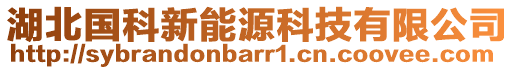 湖北國(guó)科新能源科技有限公司