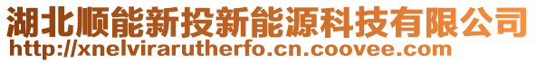 湖北順能新投新能源科技有限公司