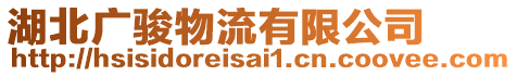 湖北廣駿物流有限公司