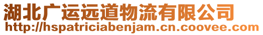 湖北廣運(yùn)遠(yuǎn)道物流有限公司