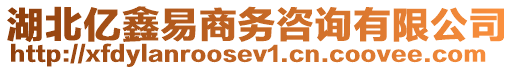 湖北億鑫易商務(wù)咨詢有限公司