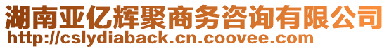 湖南亞億輝聚商務(wù)咨詢有限公司