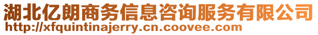 湖北億朗商務(wù)信息咨詢(xún)服務(wù)有限公司