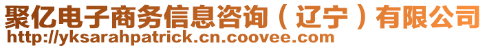 聚億電子商務(wù)信息咨詢（遼寧）有限公司