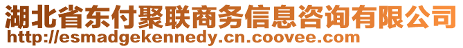 湖北省東付聚聯(lián)商務信息咨詢有限公司