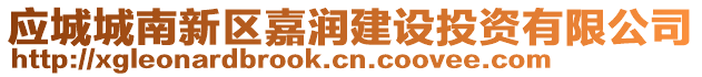 應(yīng)城城南新區(qū)嘉潤建設(shè)投資有限公司