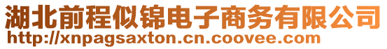 湖北前程似錦電子商務有限公司