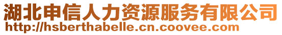 湖北申信人力資源服務(wù)有限公司