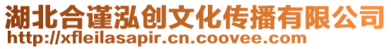 湖北合謹泓創文化傳播有限公司