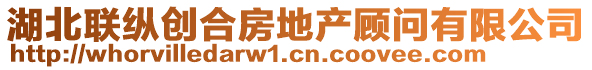 湖北聯縱創合房地產顧問有限公司