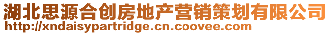 湖北思源合創(chuàng)房地產(chǎn)營銷策劃有限公司