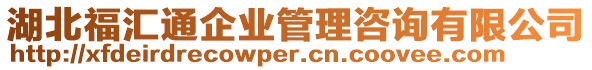 湖北福匯通企業(yè)管理咨詢有限公司