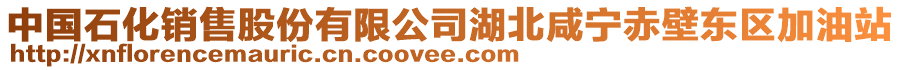 中國石化銷售股份有限公司湖北咸寧赤壁東區(qū)加油站