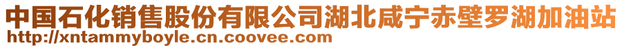 中國(guó)石化銷售股份有限公司湖北咸寧赤壁羅湖加油站