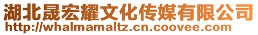 湖北晟宏耀文化傳媒有限公司