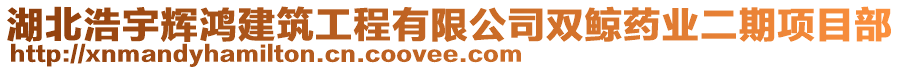 湖北浩宇輝鴻建筑工程有限公司雙鯨藥業(yè)二期項目部