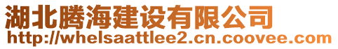 湖北騰海建設(shè)有限公司