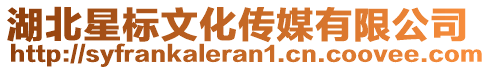 湖北星標(biāo)文化傳媒有限公司