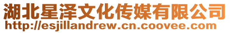 湖北星澤文化傳媒有限公司