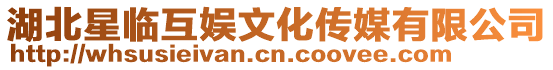 湖北星臨互娛文化傳媒有限公司