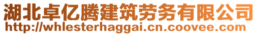 湖北卓億騰建筑勞務(wù)有限公司