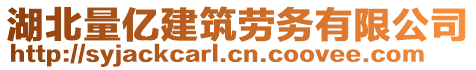 湖北量億建筑勞務(wù)有限公司