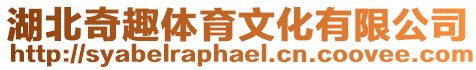 湖北奇趣體育文化有限公司