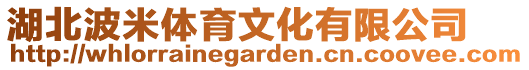 湖北波米體育文化有限公司