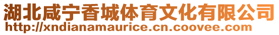 湖北咸寧香城體育文化有限公司