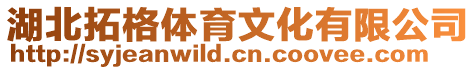 湖北拓格體育文化有限公司