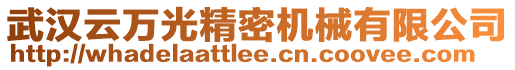 武漢云萬光精密機(jī)械有限公司