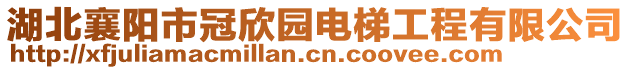 湖北襄阳市冠欣园电梯工程有限公司