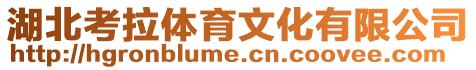 湖北考拉體育文化有限公司
