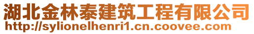 湖北金林泰建筑工程有限公司