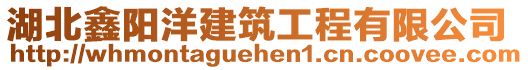 湖北鑫陽洋建筑工程有限公司