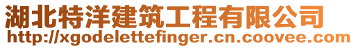 湖北特洋建筑工程有限公司