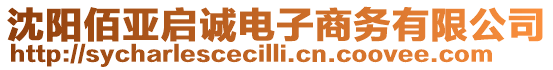 沈陽(yáng)佰亞啟誠(chéng)電子商務(wù)有限公司