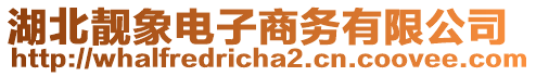 湖北靚象電子商務(wù)有限公司