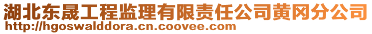 湖北東晟工程監(jiān)理有限責(zé)任公司黃岡分公司